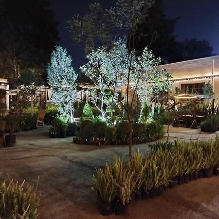 Utopia Hotel Boutique Mexikóváros Kültér fotó