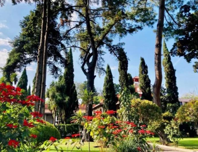 Utopia Hotel Boutique Mexikóváros Kültér fotó